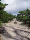 A Memorable Day Hiking in Acadia National Park A Memorable Day Hiking in Acadia National Park